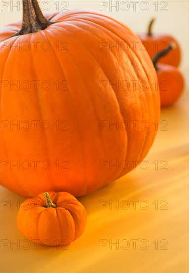 Studio shot of big and small pumpkins