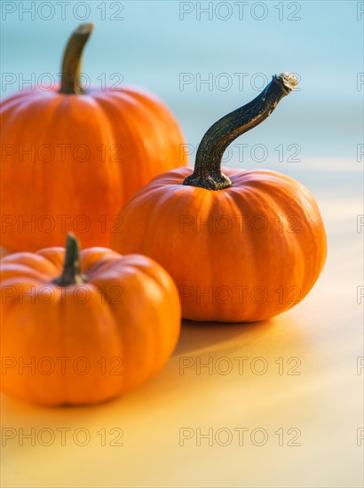 Close up of small pumpkins