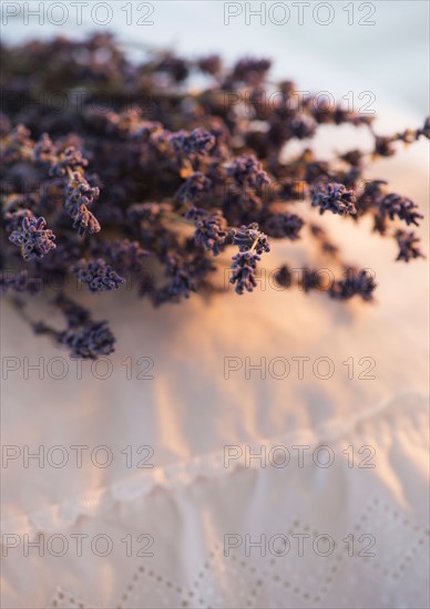 Close up of lavender bundle lying on embroidered pillow