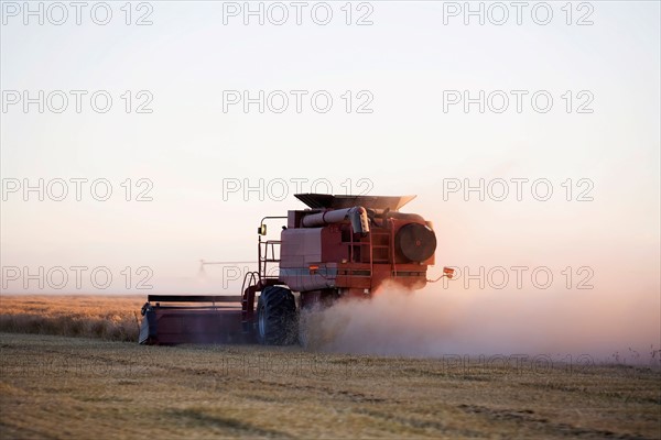 Combiner cutting barley