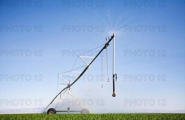 Sprinkler watering barley field