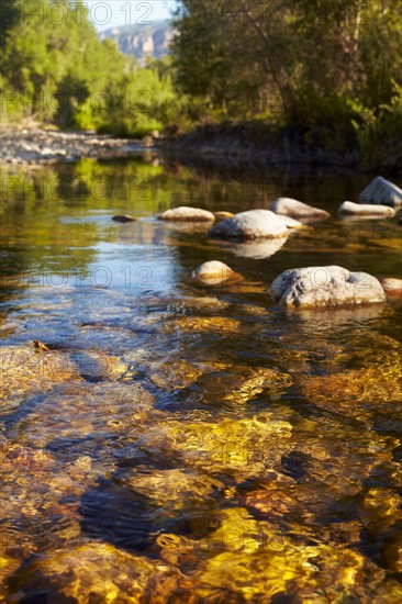 Mountain stream