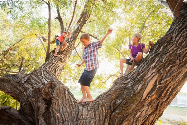 Three kids (4-5, 6-7) playing in huge tree