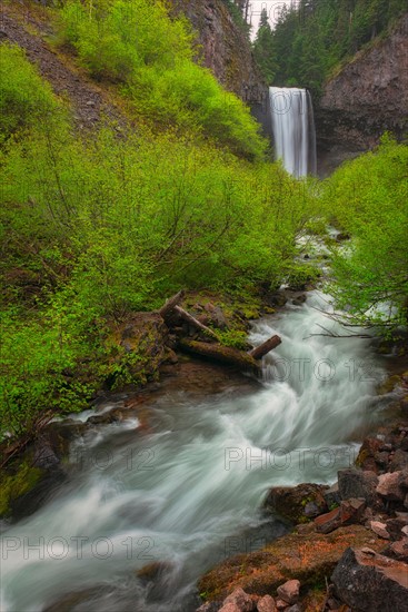 Tamawanas Falls