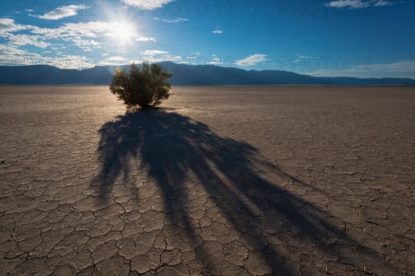 Alvord Desert at sunset