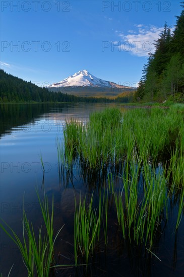 Mount Hood and Trillium Lake at sunset