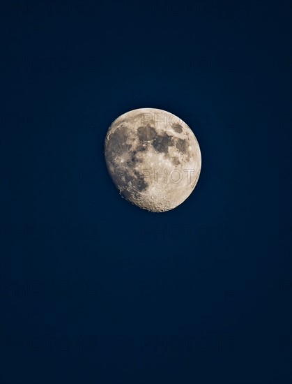 Moon on dark sky.