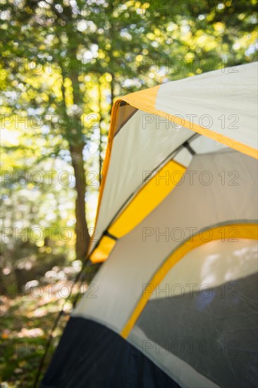 Tent in forest. Photo : Jamie Grill