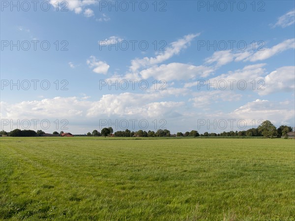 Rural scenery. Photo : Jan Scherders