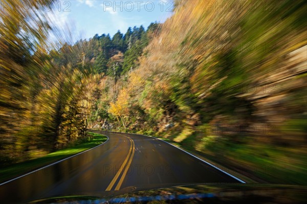 Road going through National Park. Photo : Henryk Sadura