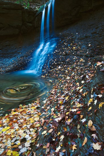 Small waterfalls in forest. Photo : Henryk Sadura