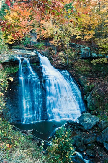 Small waterfalls in forest. Photo : Henryk Sadura