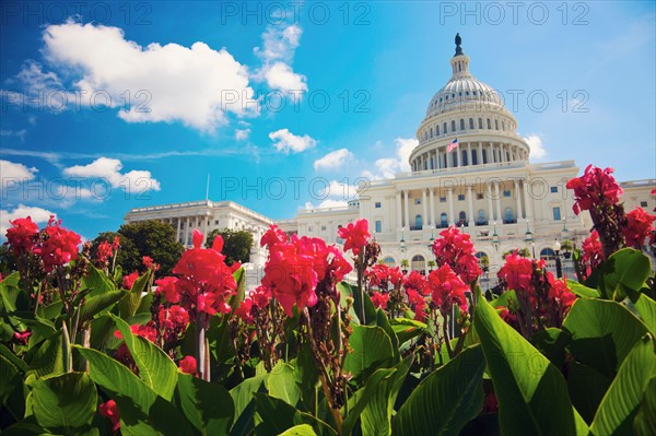 Capitol Building. Photo : Henryk Sadura