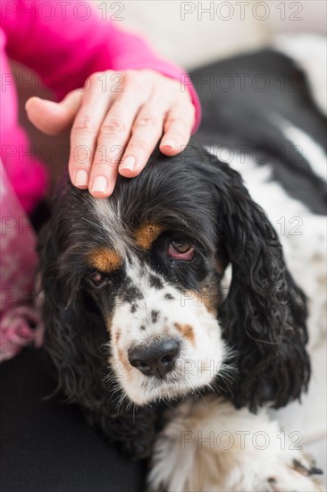 Senior woman stroking her dog.