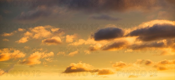 Puffy clouds at sunset.