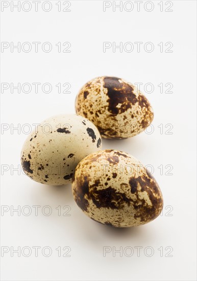 Studio shot of quail eggs.