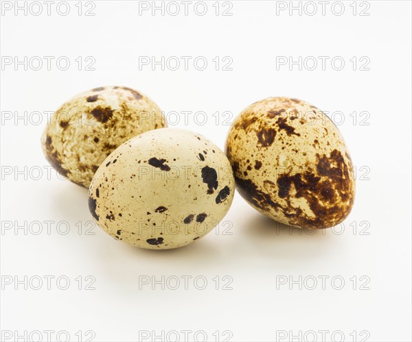 Studio shot of quail eggs.
