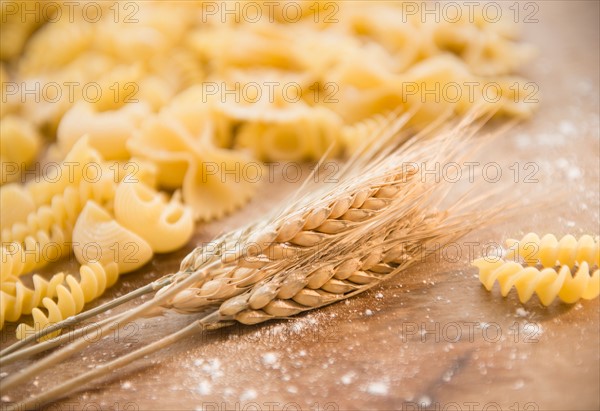 Different types of pasta and wheat ear