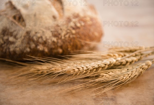 Close-up of corn ear and loaf of bread