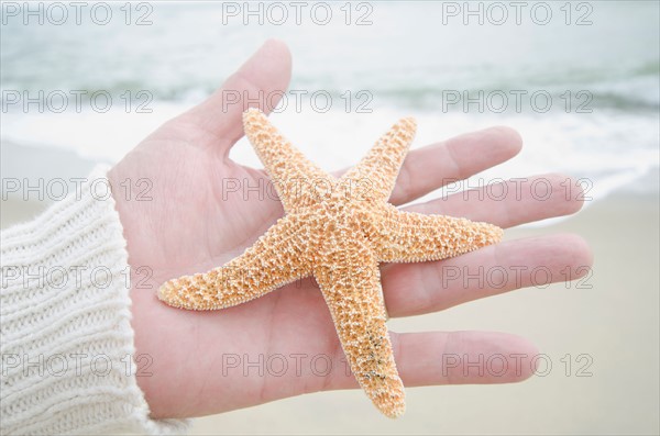 Human hand holding starfish