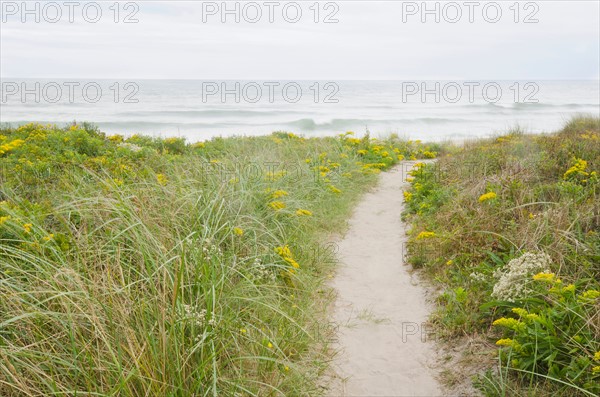 Footpath leading to beach