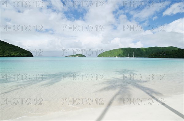 Shadow of palm trees on sandy beach