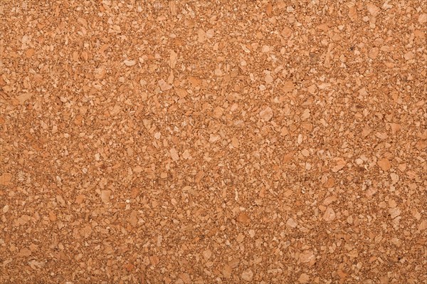 Blank Corkboard Background