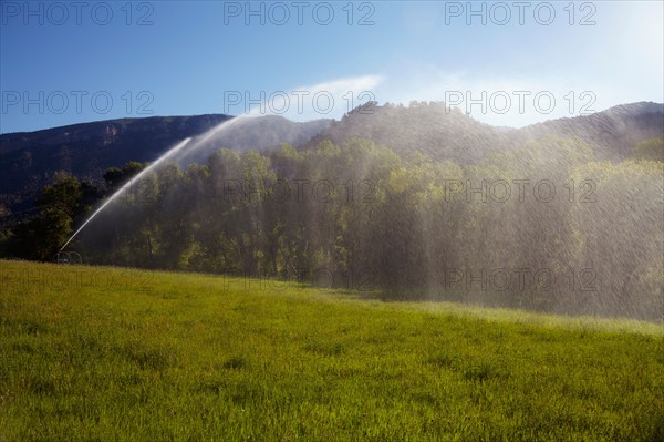 Agricultural sprinkler watering field