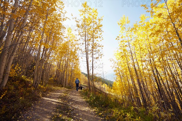 Woman walking with her dog through forest