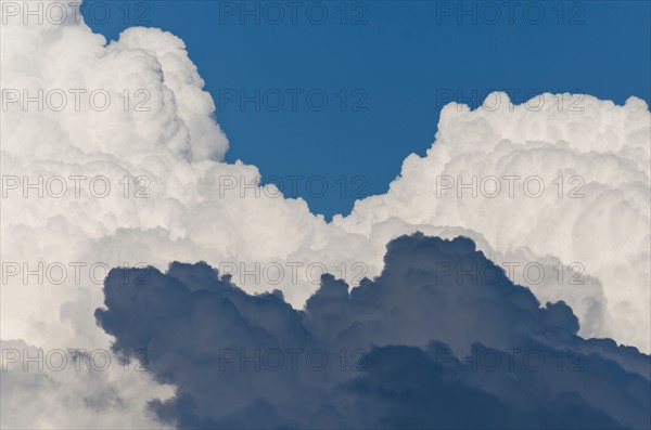 Cumulus cloud formation