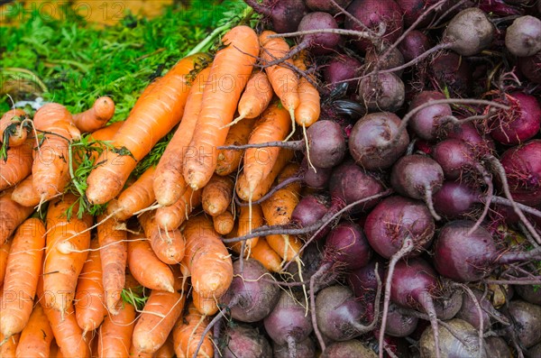 Stack of carrots and beets