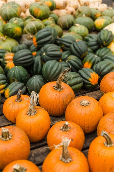 Heap of pumpkins