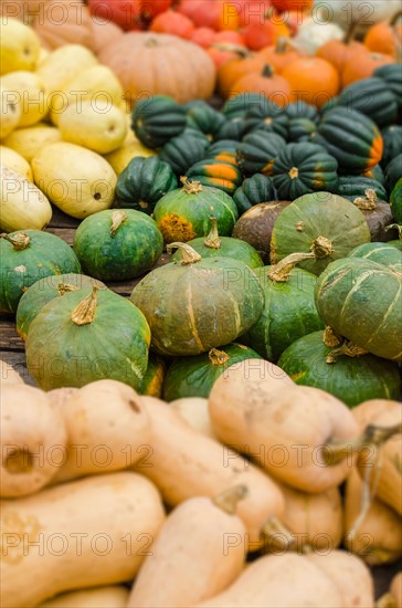 Heap of pumpkins