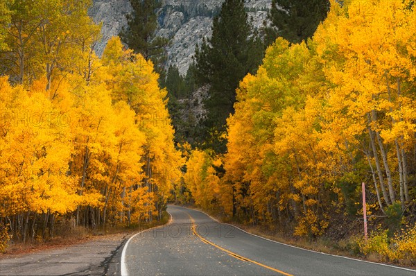 Autumn landscape