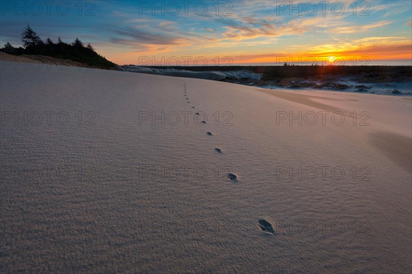 Sunset over winter landscape