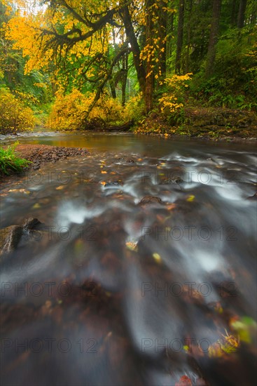 Flowing stream