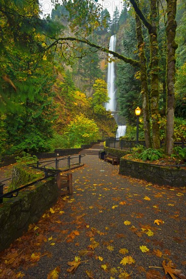 Multnomah Falls in autumn