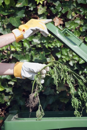 Woman holding weed over garbage bin