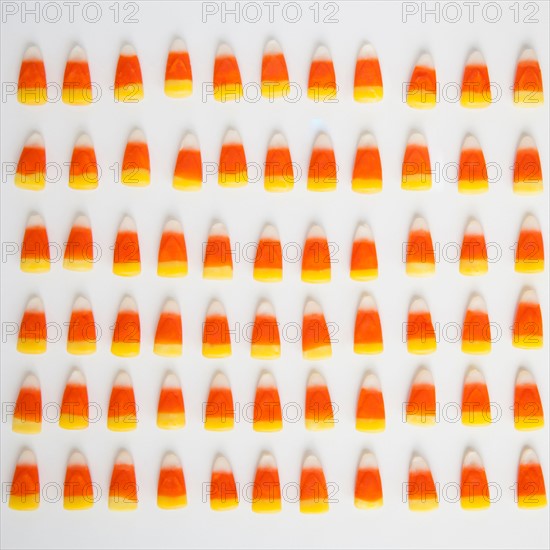 Studio Shot of rows of candy corn
