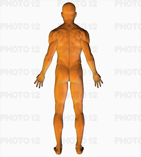 Digitally generated image of human representation