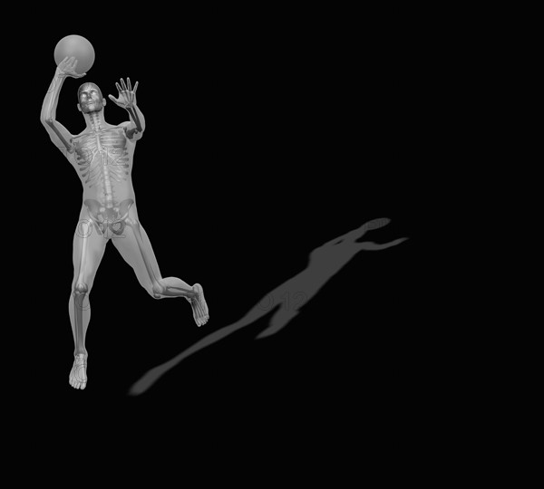 Human skeleton playing basketball