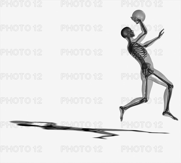 Human skeleton playing basketball