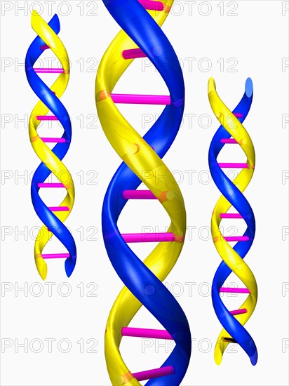 Digitally generated image of double helix