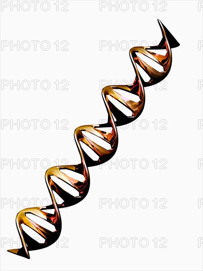 Digitally generated image of double helix