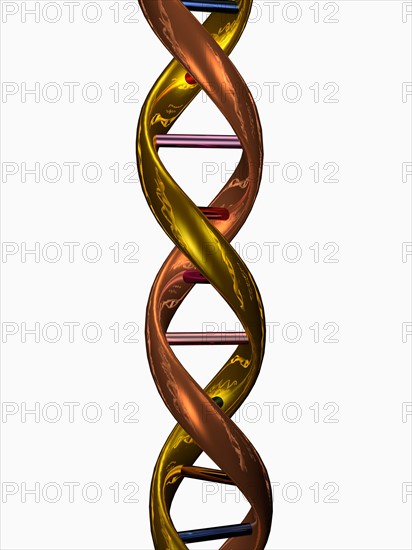 Digitally generated image of double helix