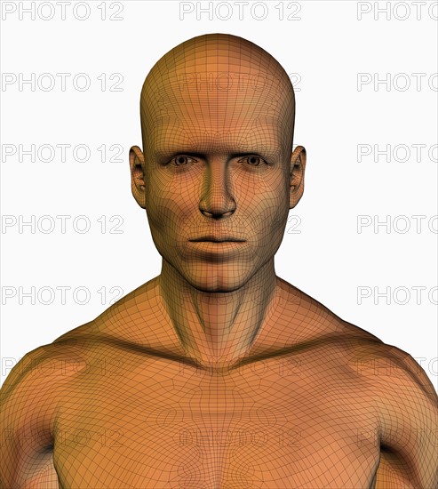 Digitally generated male figure