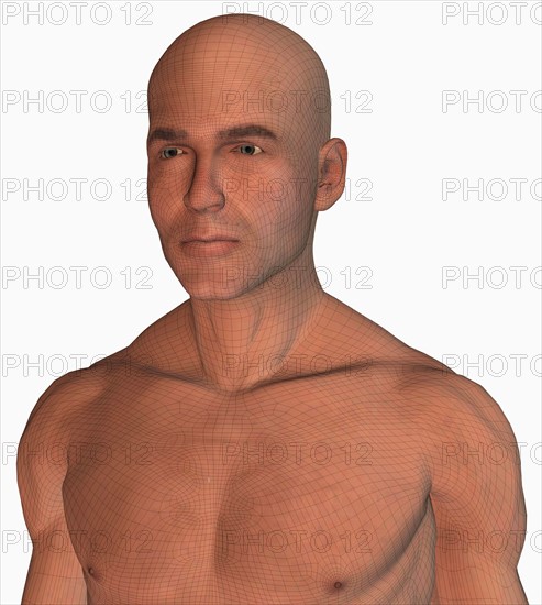 Digitally generated male figure