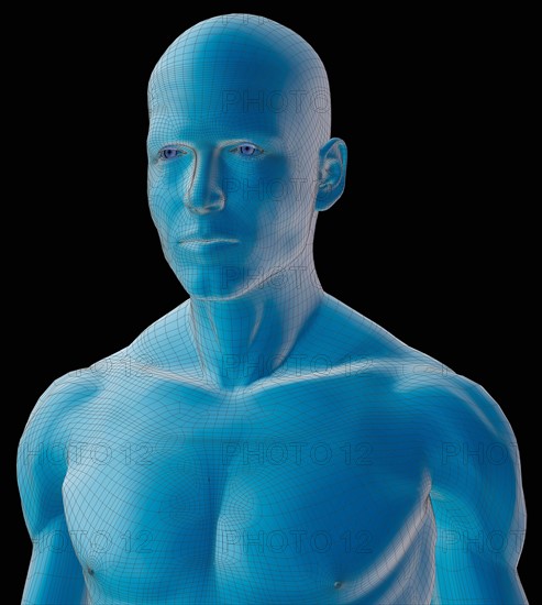 Digitally generated male figure