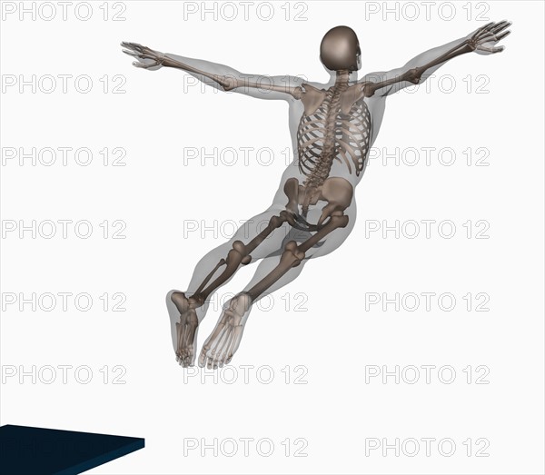 Human skeleton jumping off trampoline on white background