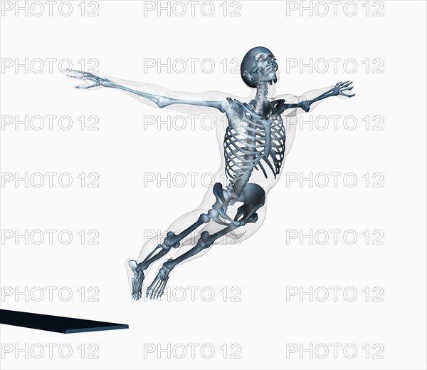 Human skeleton jumping off trampoline on white background